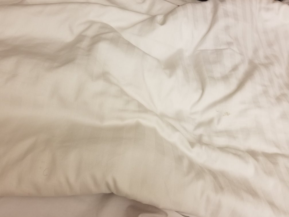 City Express By Marriott Rosarito主图