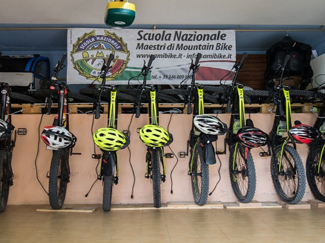 B&B Altaneto22主图