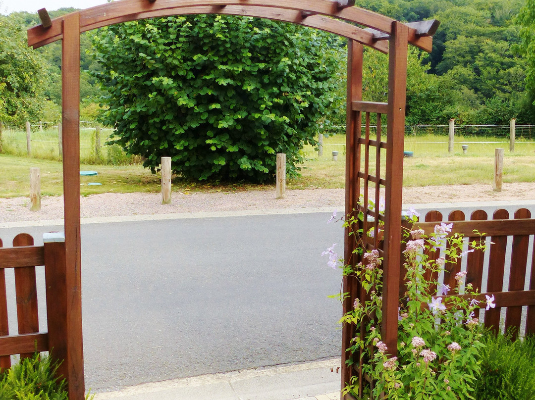 Au Comptoir Des Colettes主图