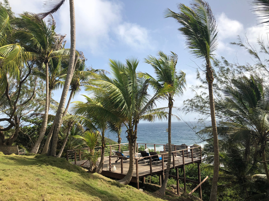 ECO Lifestyle & Lodge主图