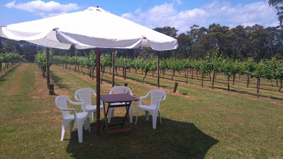 Joadja Vineyard-Berrima必去景点