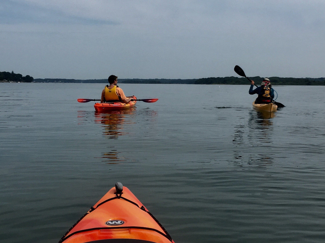 Osprey Sea Kayak Adventures景点图片