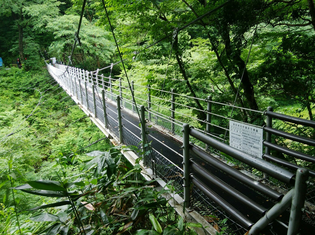 Daisen Fall Suspension Bridge景点图片