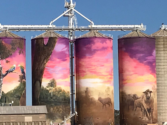 Thallon旅游攻略图片