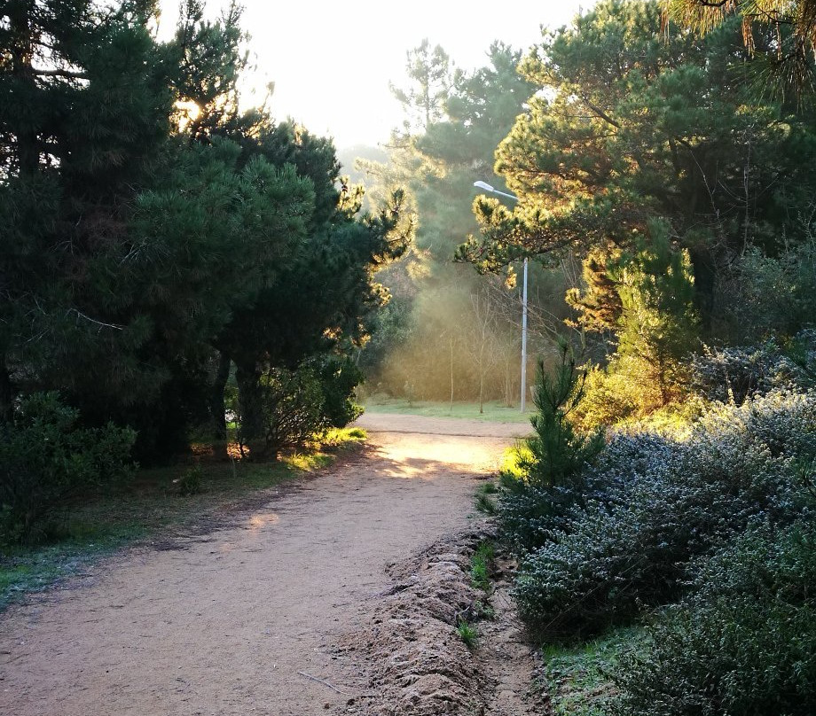 Gazilerdagi Tabiat Parki景点图片