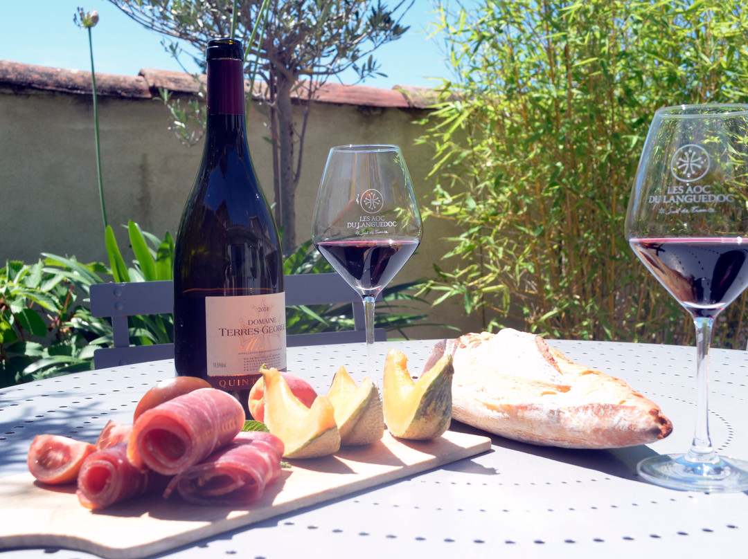 Domaine Terres Georges-Castelnau-d'Aude必去景点
