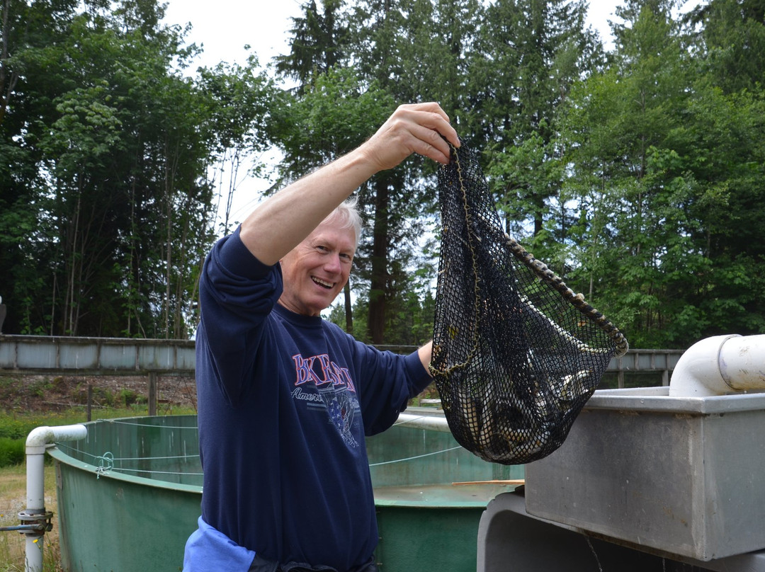 Chapman Creek Hatchery-Sechelt必去景点