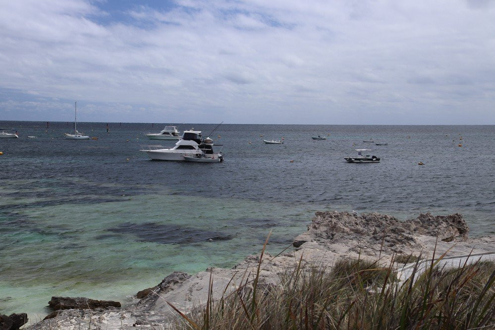 Lady Edeline Beach-罗特尼斯岛必去景点