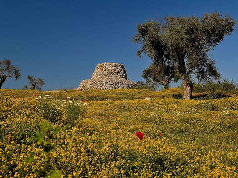 Salmenta酒店住宿-B&B Meraviglie del Salento