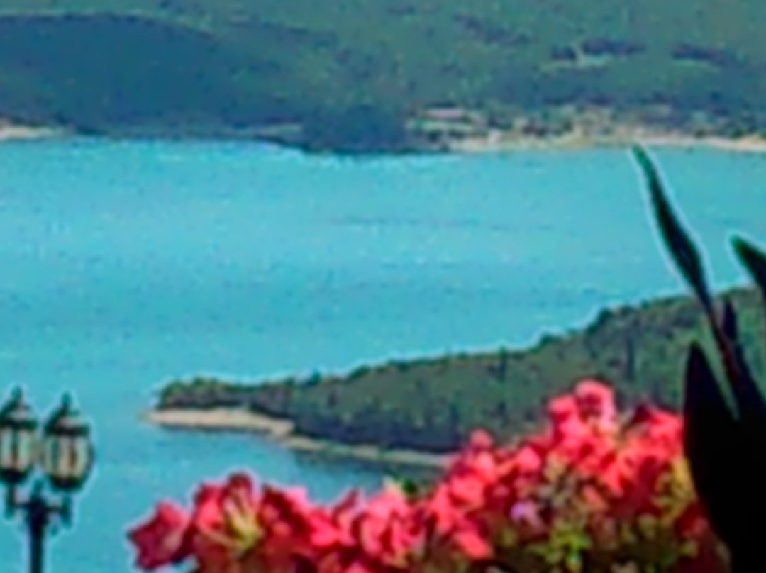 Gis Chrisopeleia主图