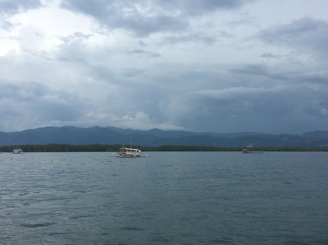 Dolphin Watching, Manjuyod Sandbar and Sportfishing Adventures in Bais Bay景点图片