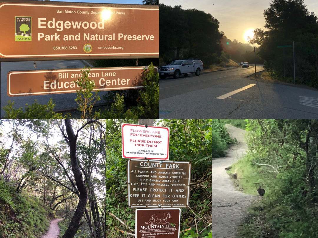 Edgewood Park Natural Preserve-雷德伍德城必去景点