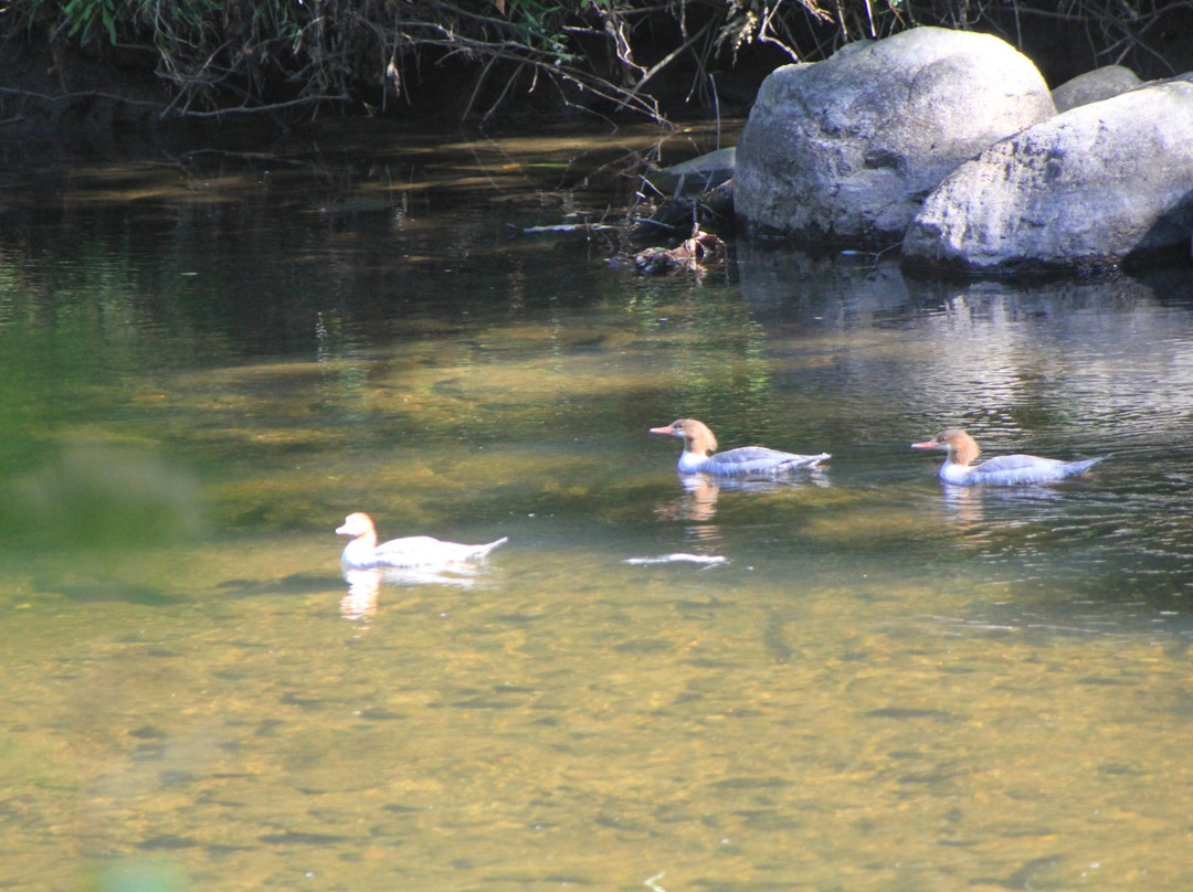 Hidden Valley Preserve-Washington必去景点