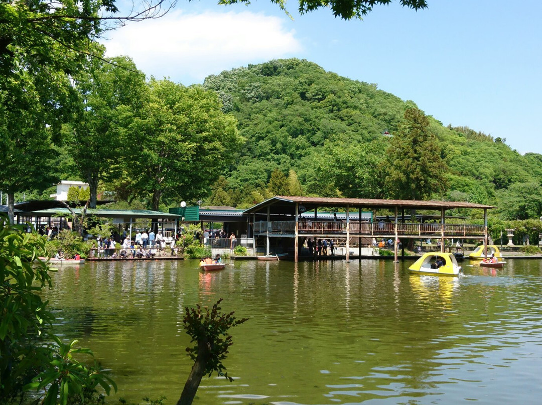 Fishing Flower Park-佐野市必去景点