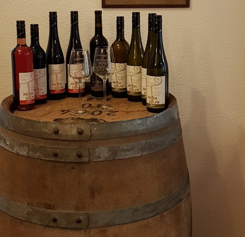 Gastehaus Bacchus主图