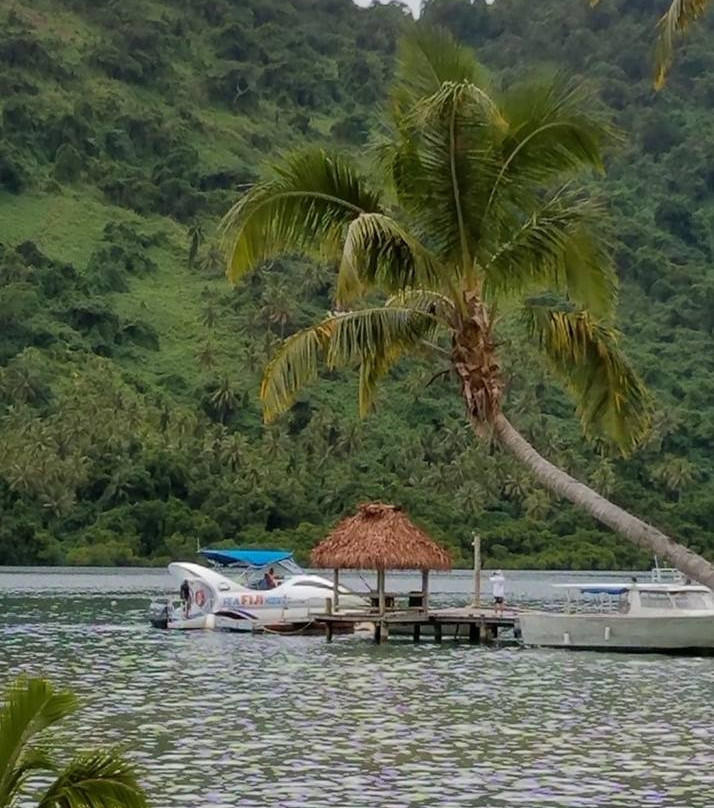 Sea Fiji Reefs景点图片