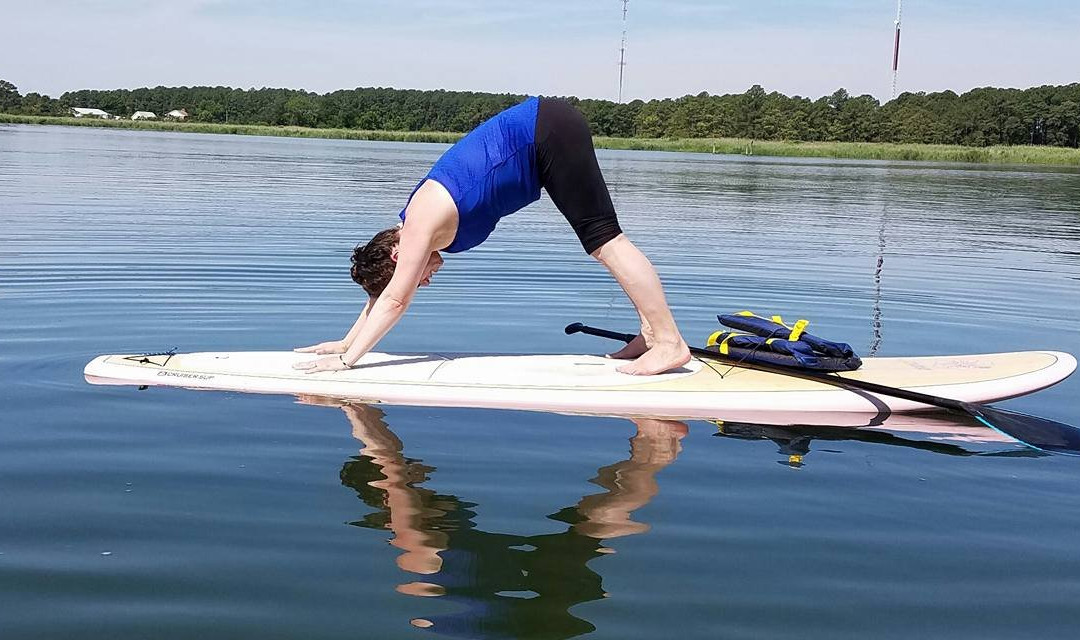 Dragonfly Paddle and Fitness景点图片