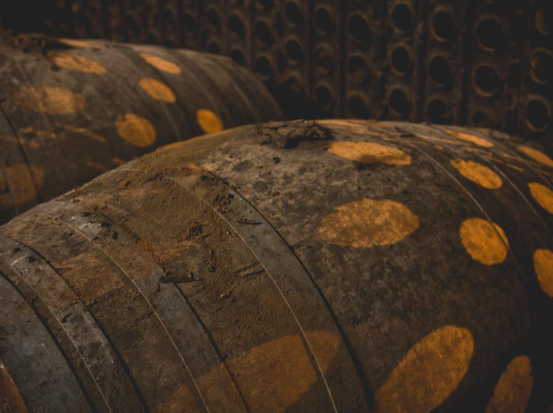 Chateau de Salles-Salles-d'Armagnac必去景点