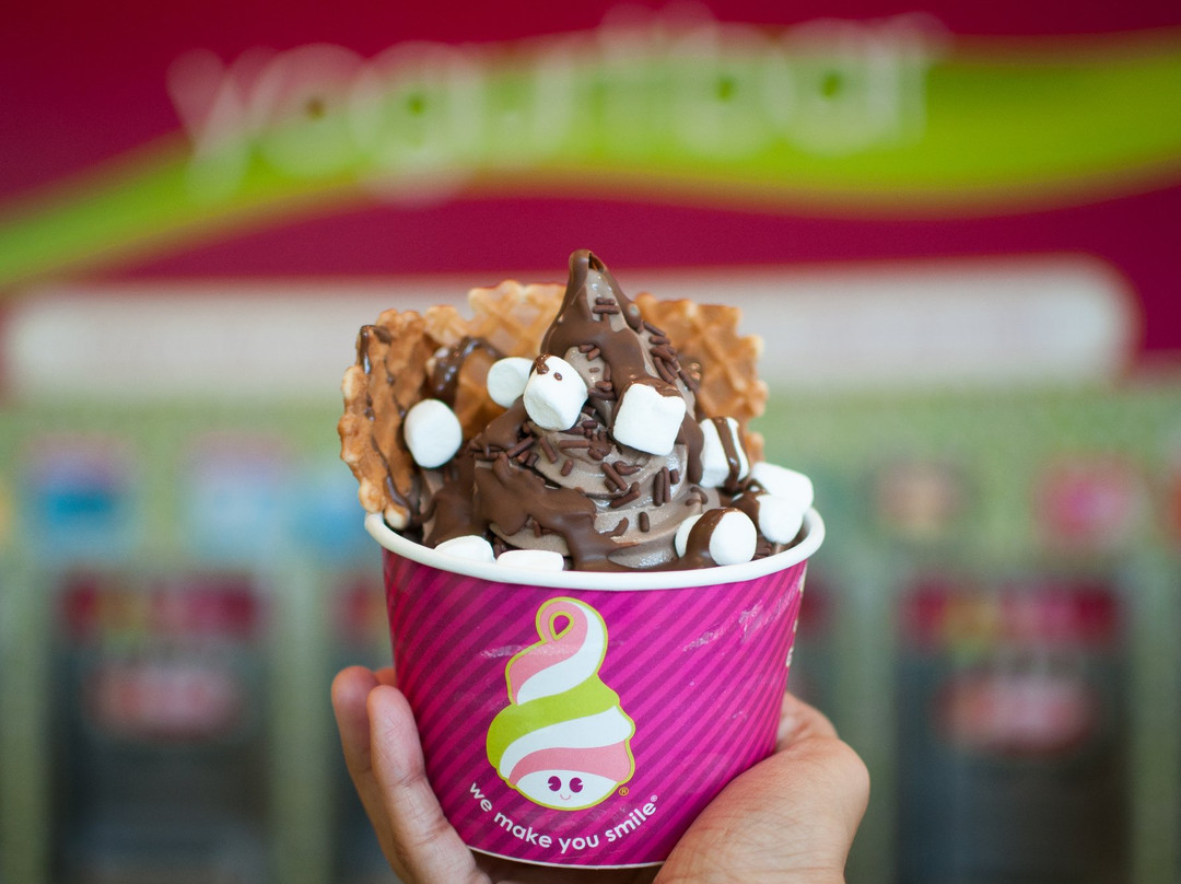 Menchie's Frozen Yogurt