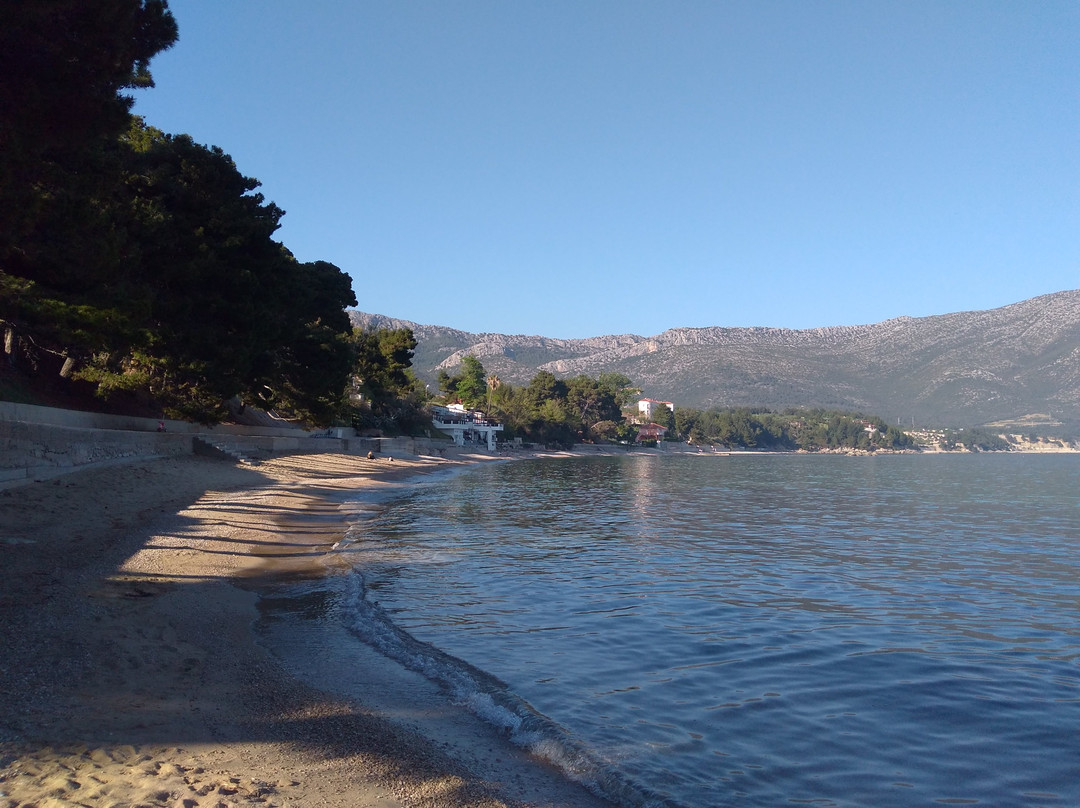 Trstenica Beach景点图片