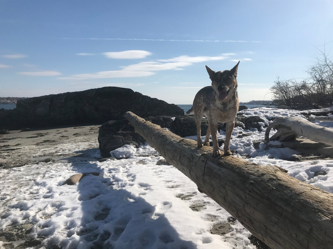 Back40-波特兰必去景点