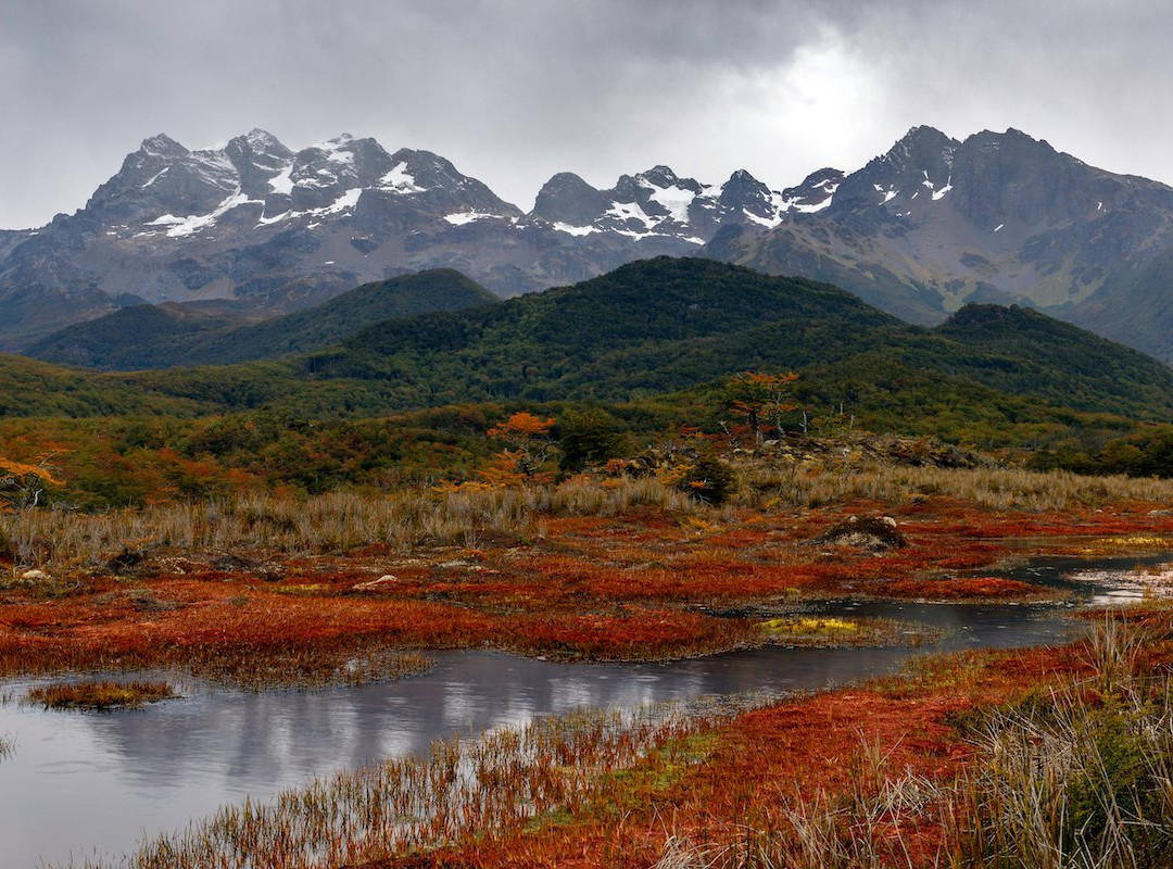 Karukinka Natural Park景点图片