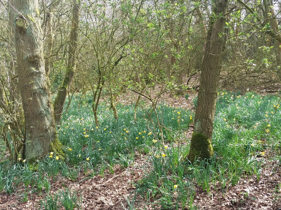 Burntstump Country Park景点图片