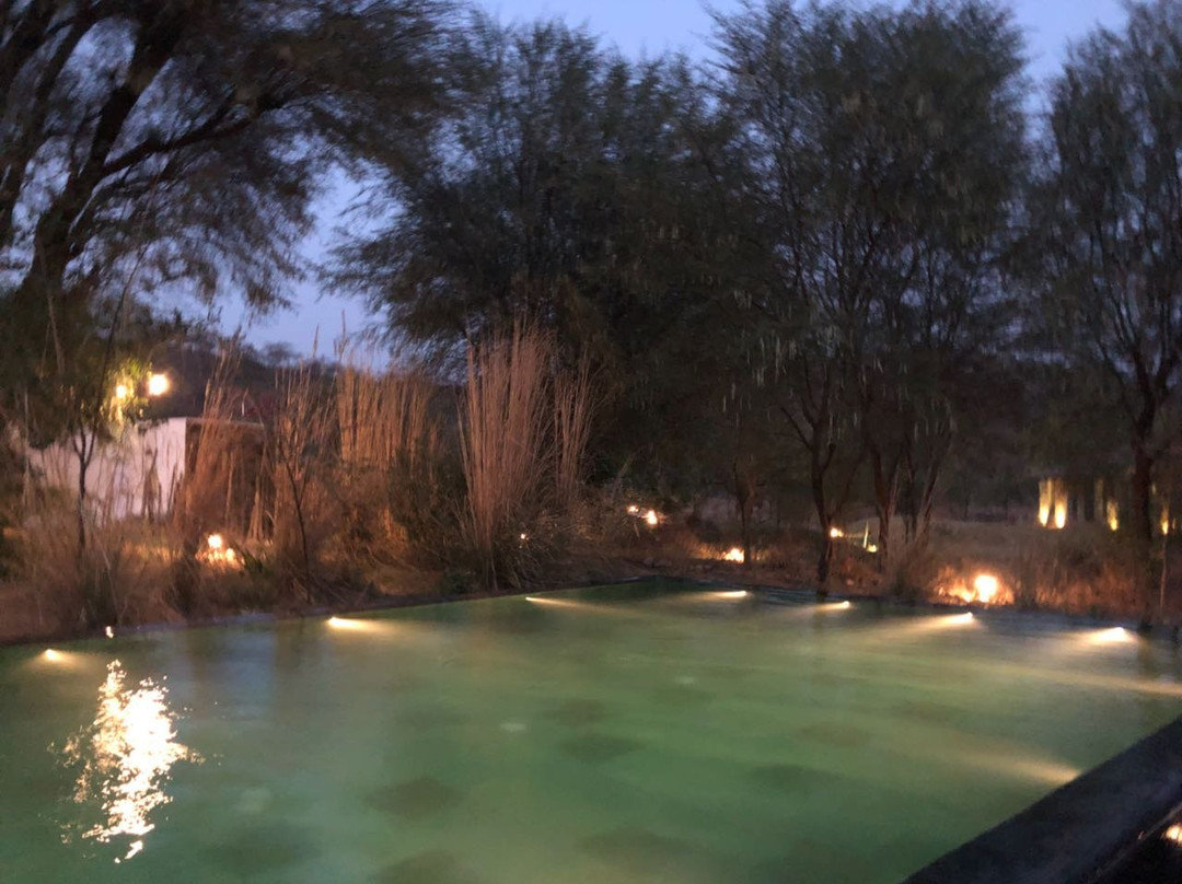 Trees N Tigers Sariska主图