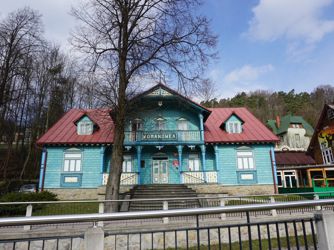 Muzeum Nikifora Krynickiego景点图片