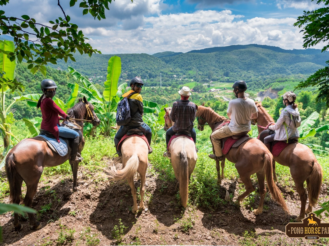 Pong Horse Park-Baan Pong必去景点