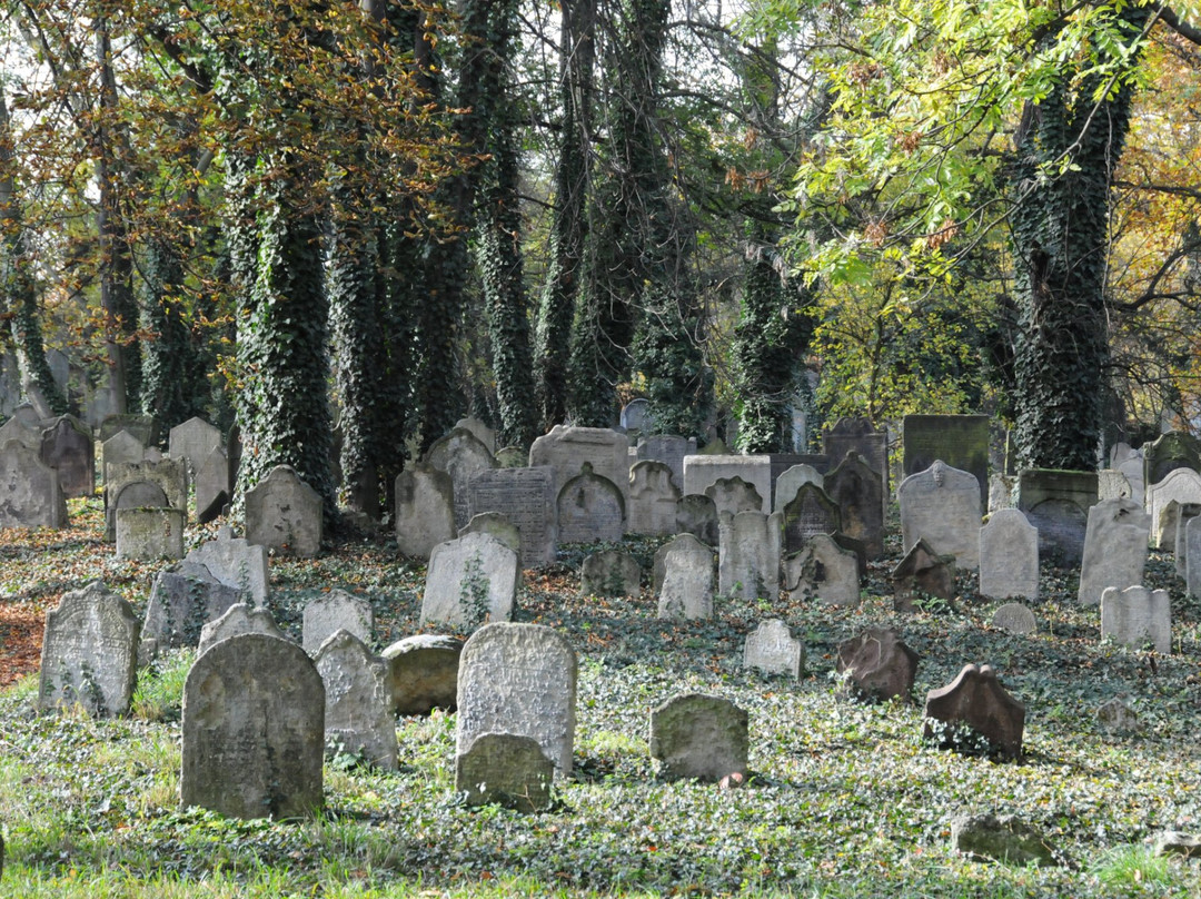 Jewish Cemetery in Kolín-Kolin必去景点