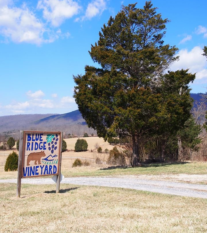 Blue Ridge Vineyard-Eagle Rock必去景点