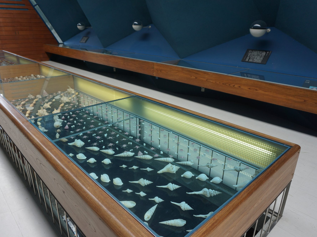 Gallery of the Sea-土佐清水市必去景点