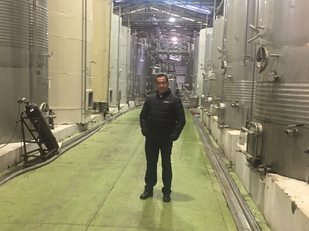 Colchagua Valley-O'Higgins Region必去景点