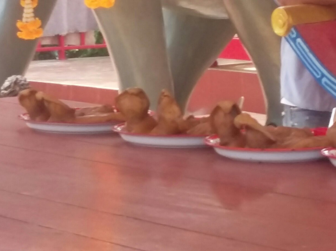 Chao Por Koh Chang Shrine-象岛必去景点