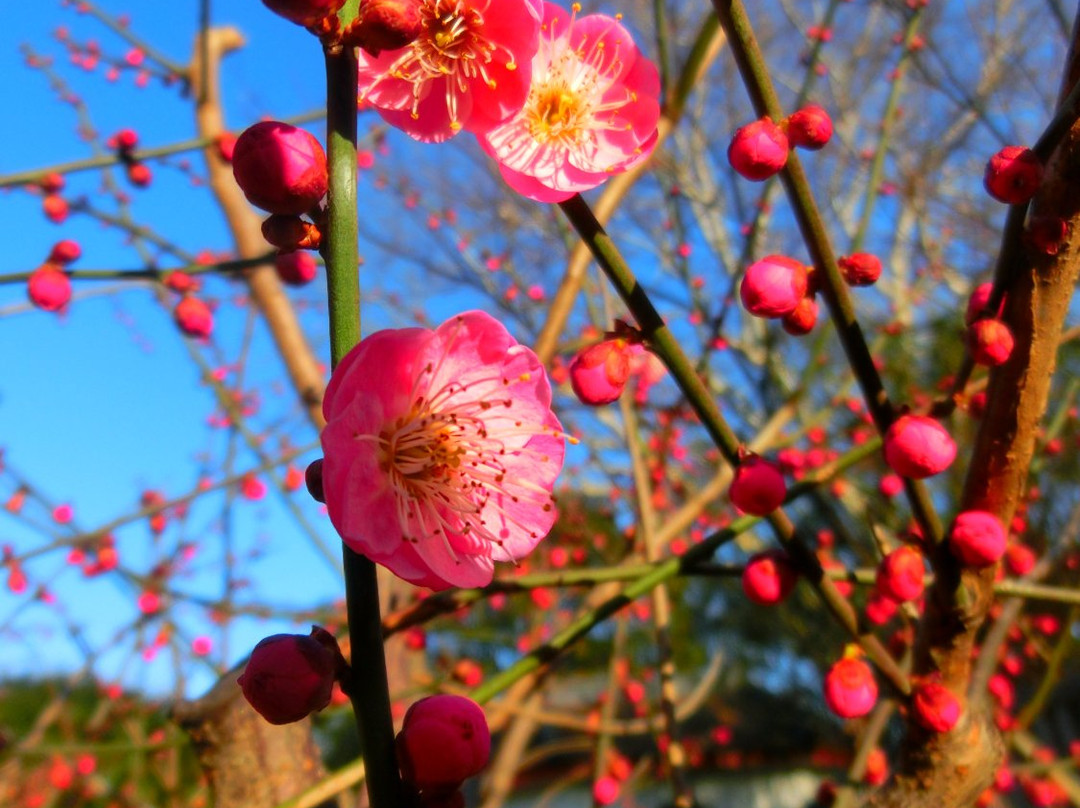 康健园-上海市必去景点