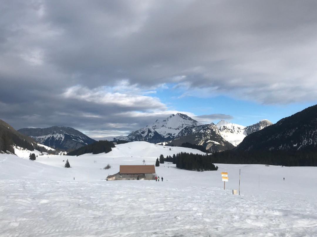Glieres-Val-de-Borne餐馆和美食-Chez Merlin