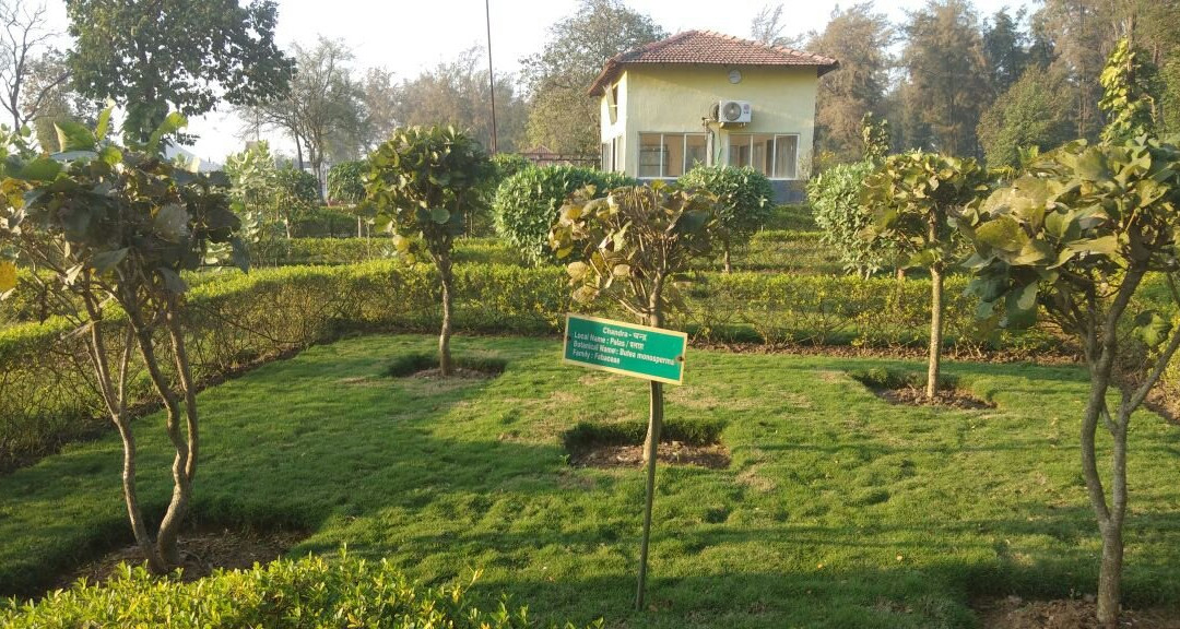 Nakshatra Garden-锡尔瓦萨必去景点