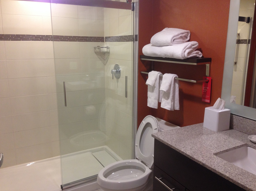 TownePlace Suites Windsor主图