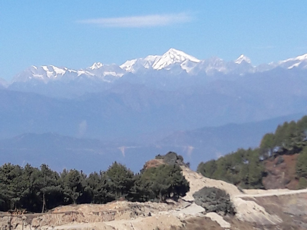 Hotel Greenland主图