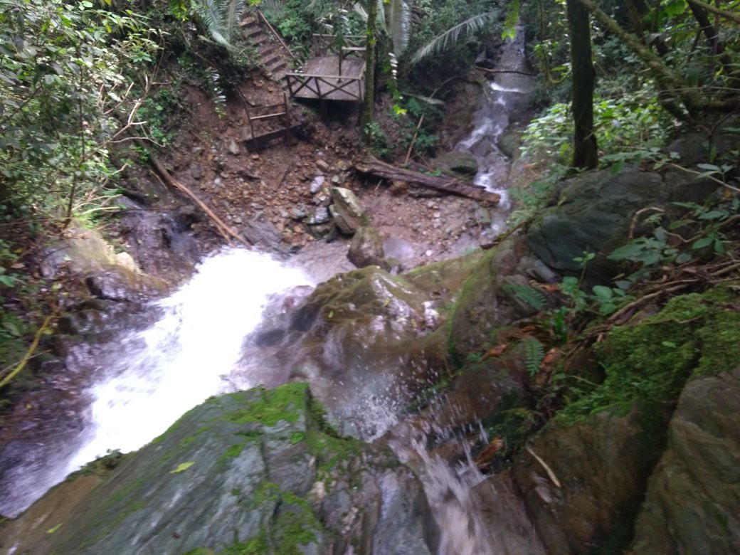 Cascadas De Cocora-萨伦托必去景点