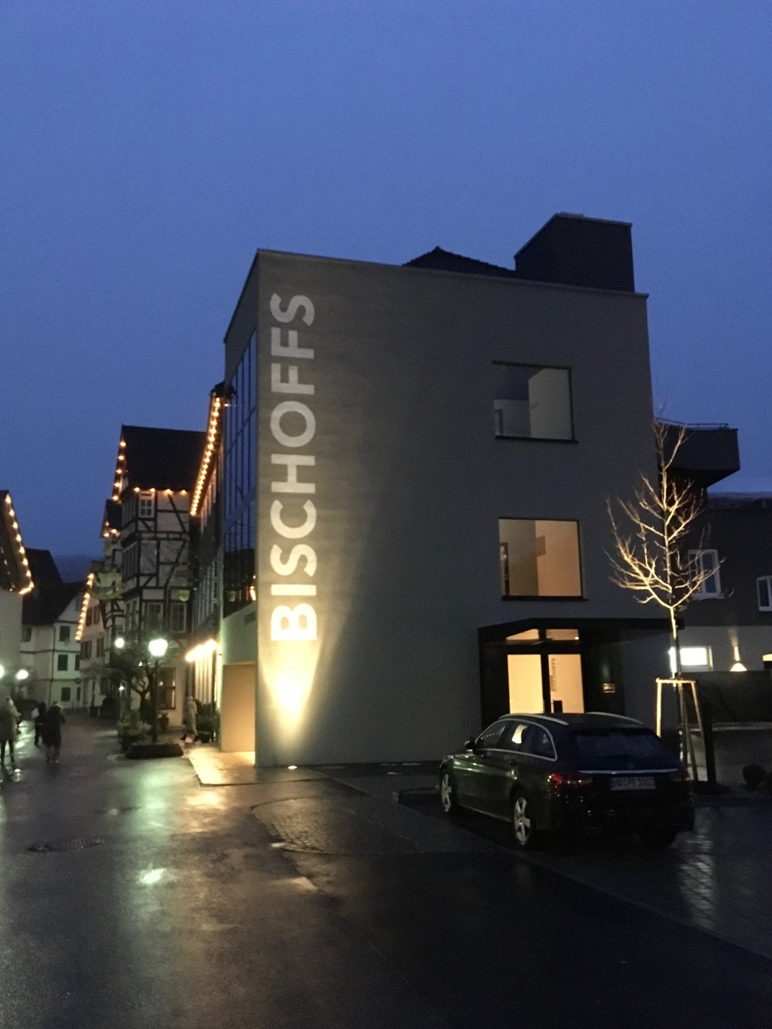 Bischoffs Hotel-浴室