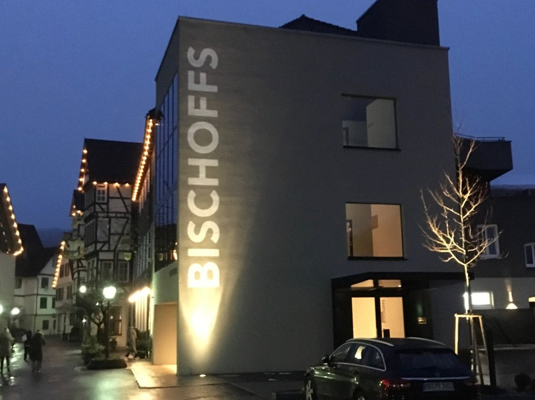 Bischoffs Hotel主图