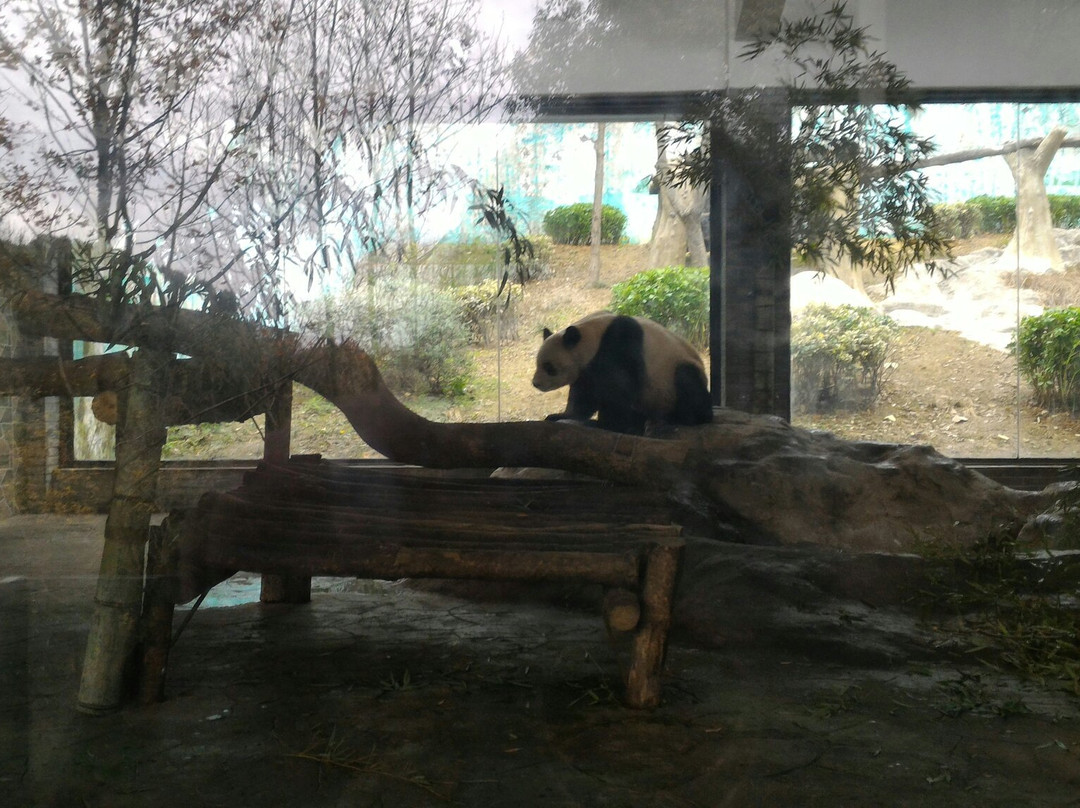 温州市动物园-温州市必去景点