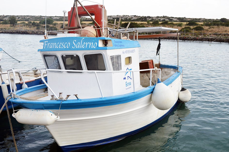 Borea Escursioni e Pescaturismo-锡拉库扎必去景点