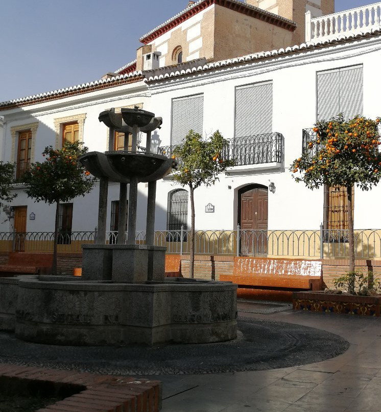 萨洛夫雷尼亚旅游景点-Casco Antiguo