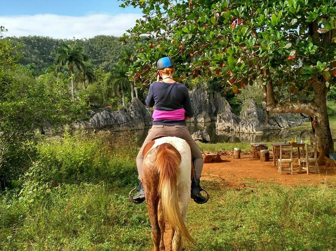 The Vinales Experience, Cuba景点图片