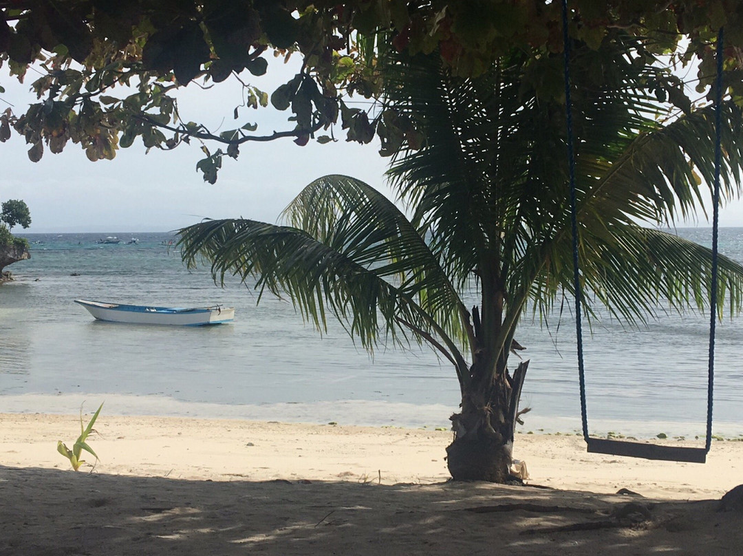 Thresher Cove Resort and Dive Centre景点图片