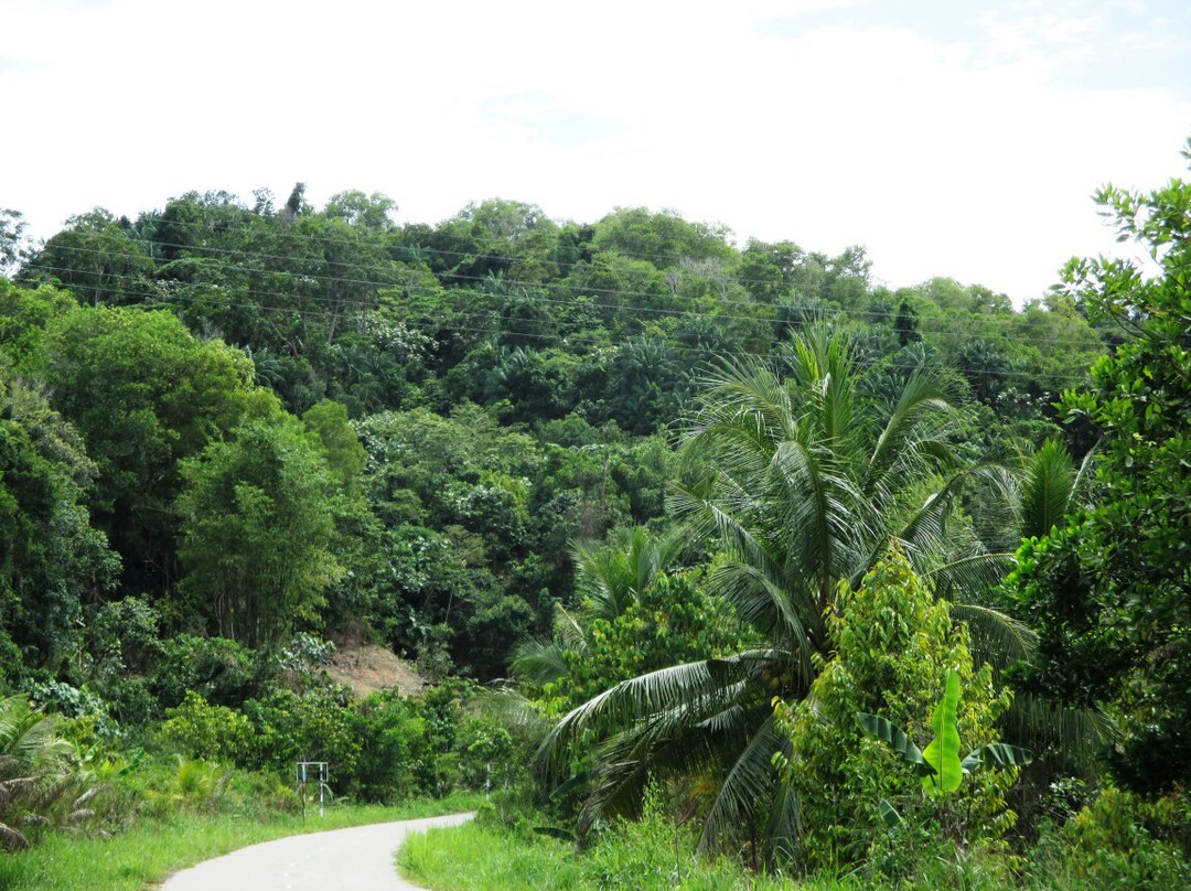 Bukit Tempayan Pisang-斯里巴加湾必去景点