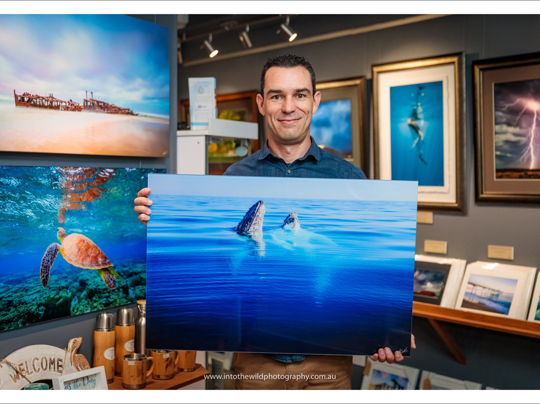 Into The Wild Photography-赫维湾必去景点